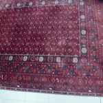 954 6586 ORIENTAL RUG